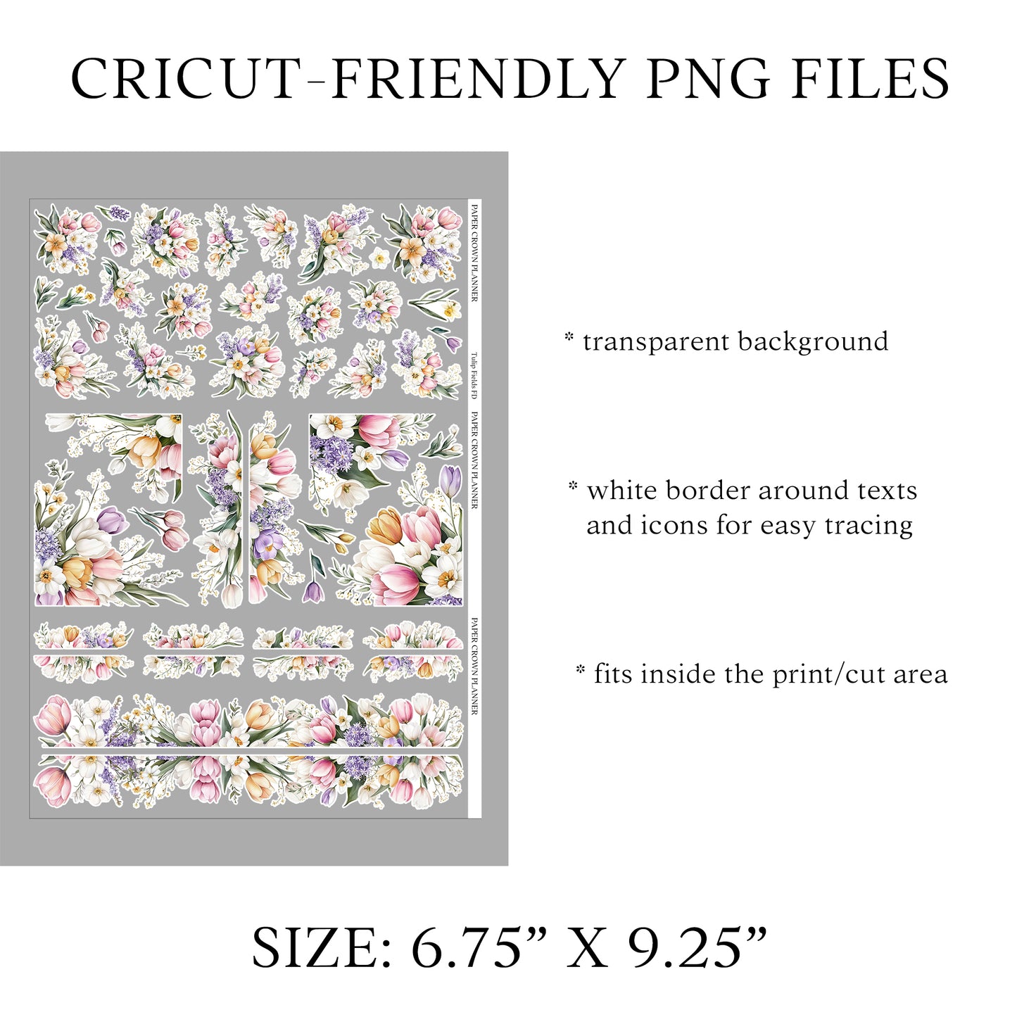 TULIP FIELDS // Floral Deco