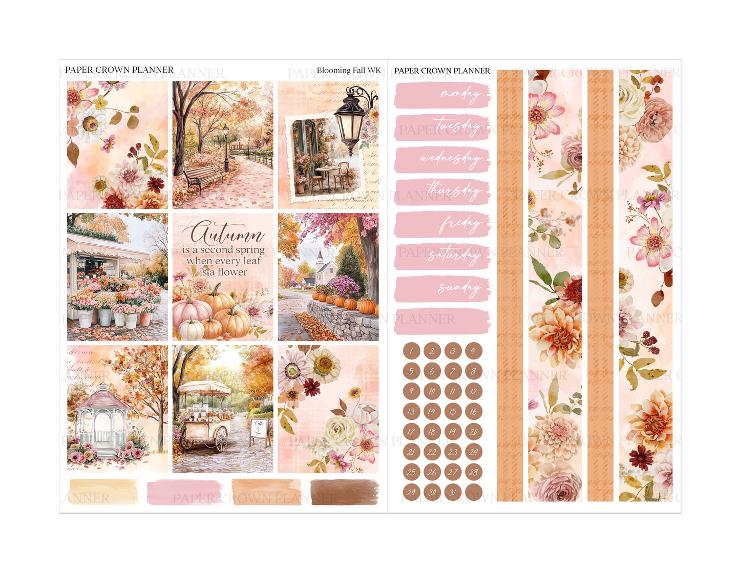 BLOOMING FALL // Weekly Kit