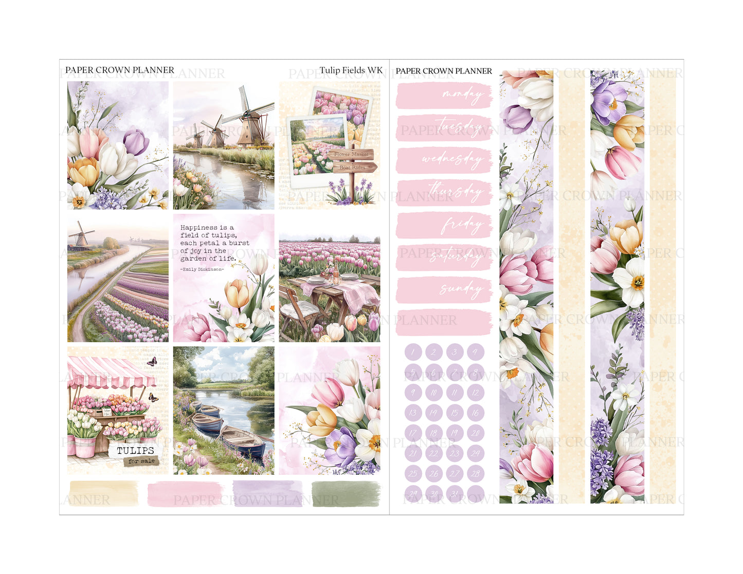 TULIP FIELDS // Weekly Kit