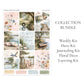 LAKE DAY // Collection Bundle