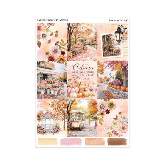 BLOOMING FALL // Weekly Kit