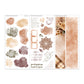 EVERMORE // Layering Kit